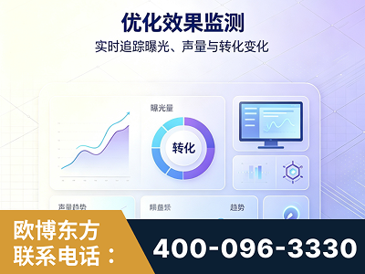 南安-优化效果监测
