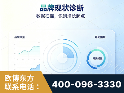 南安-品牌现状诊断