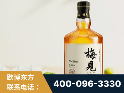 南安-梅见青梅酒